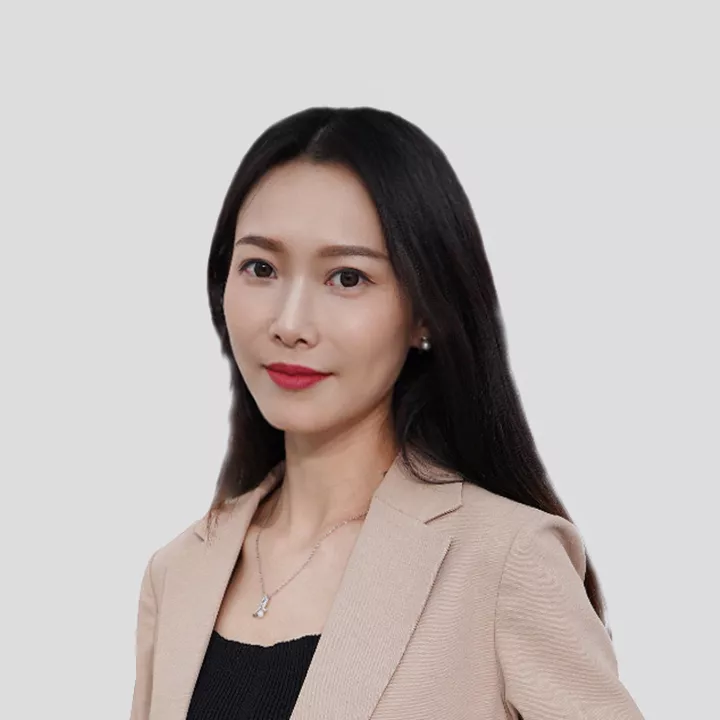 修月琴